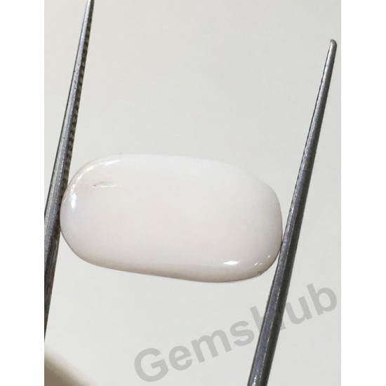 8.60 ct Natural Certified White Coral/सफ़ेद मूंगा 8.60 ct Natural Certified White Coral/सफ़ेद मूंगा