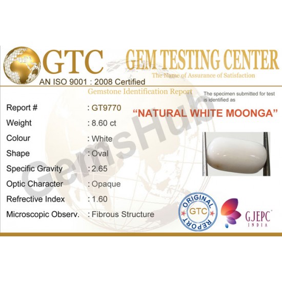 8.60 ct Natural Certified White Coral/सफ़ेद मूंगा 8.60 ct Natural Certified White Coral/सफ़ेद मूंगा