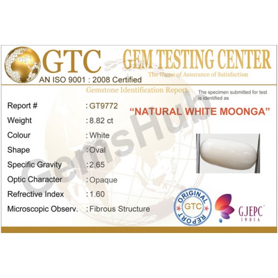 8.82 ct Natural Certified White Coral/सफ़ेद मूंगा 8.82 ct Natural Certified White Coral/सफ़ेद मूंगा
