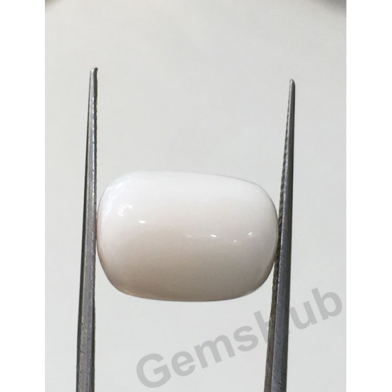 9.03 ct Natural Certified White Coral/सफ़ेद मूंगा 9.03 ct Natural Certified White Coral/सफ़ेद मूंगा