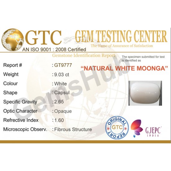 9.03 ct Natural Certified White Coral/सफ़ेद मूंगा 9.03 ct Natural Certified White Coral/सफ़ेद मूंगा