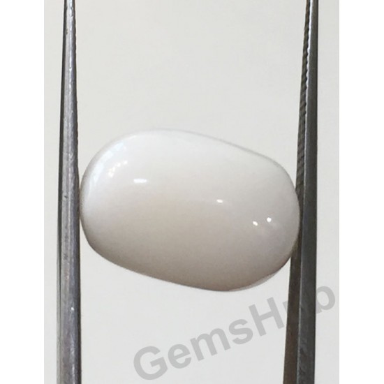 9.19 ct Natural Certified White Coral/सफ़ेद मूंगा 9.19 ct Natural Certified White Coral/सफ़ेद मूंगा