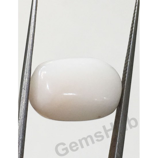 9.19 ct Natural Certified White Coral/सफ़ेद मूंगा 9.19 ct Natural Certified White Coral/सफ़ेद मूंगा