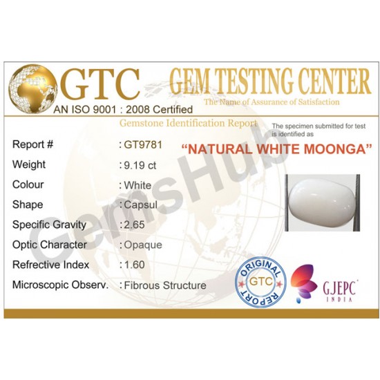 9.19 ct Natural Certified White Coral/सफ़ेद मूंगा 9.19 ct Natural Certified White Coral/सफ़ेद मूंगा