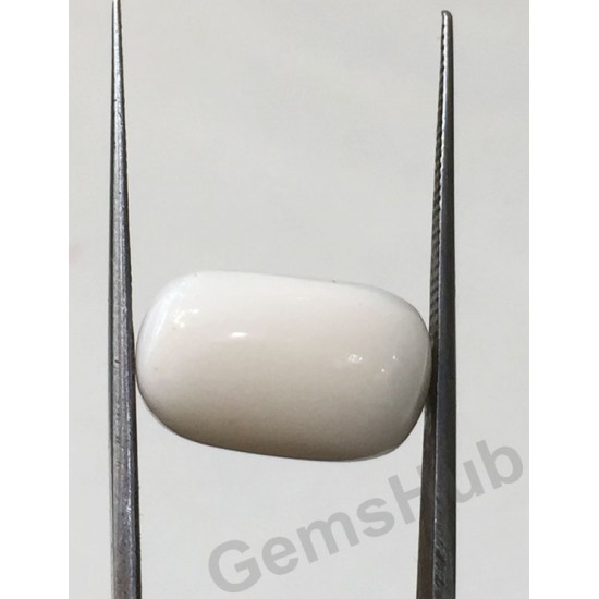 9.86 ct Natural Certified White Coral/सफ़ेद मूंगा 9.86 ct Natural Certified White Coral/सफ़ेद मूंगा