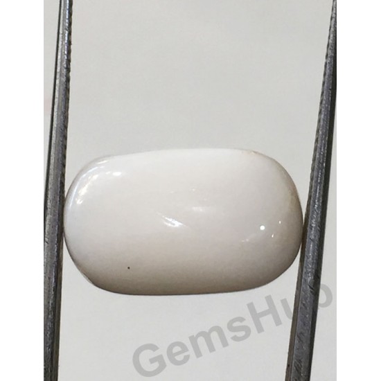 9.86 ct Natural Certified White Coral/सफ़ेद मूंगा 9.86 ct Natural Certified White Coral/सफ़ेद मूंगा
