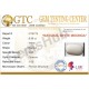 9.86 ct Natural Certified White Coral/सफ़ेद मूंगा 9.86 ct Natural Certified White Coral/सफ़ेद मूंगा