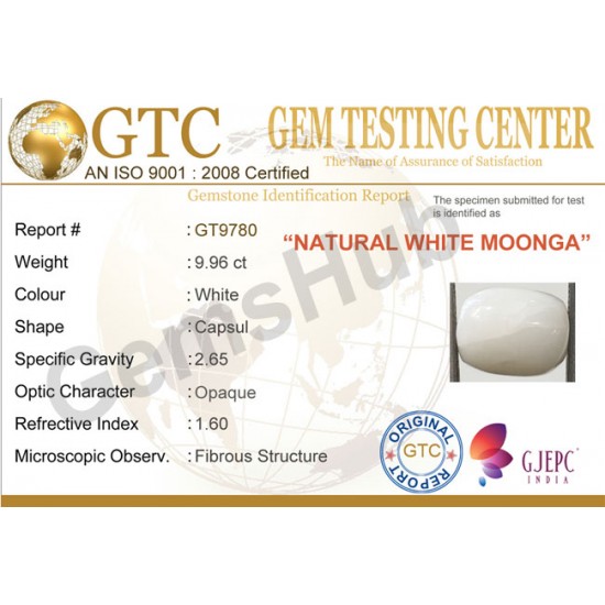 9.96 ct Natural Certified White Coral/सफ़ेद मूंगा 9.96 ct Natural Certified White Coral/सफ़ेद मूंगा