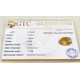 7.99 ct/8.90 ratti Natural Certified Bangkok Pukhraj/Yellow Sapphire