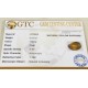 8.19 ct/9.25 ratti Natural Certified Bangkok Pukhraj/Yellow Sapphire