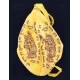 5 Mukhi Rudraksha Mala Lab Tested with Gomukhi Bag for Japa 