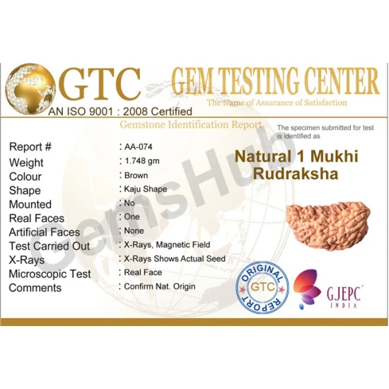 1 Face/Mukhi Certified Rudraksha 29.90 mm