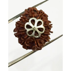 10 Mukhi Certified Rudraksha Silver Pendant (Nepal Origin) 22mm +
