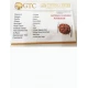 10 Mukhi Certified Rudraksha (Indonesia Origin) Size- 13mm