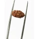 2 Mukhi Indonesian Rudraksha Certified Size-10 to 13mm 2 Mukhi Indonesian Rudraksha Certified Size-10 to 13mm