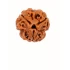 3 Mukhi Nepali Rudraksha 