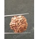 5 Mukhi Certified Nepali Rudraksha 5 Mukhi Certified Nepali Rudraksha