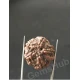5 Mukhi Certified Nepali Rudraksha 5 Mukhi Certified Nepali Rudraksha