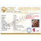5 Mukhi Certified Nepali Rudraksha 5 Mukhi Certified Nepali Rudraksha
