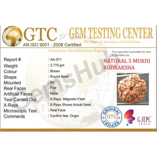 5 Mukhi Certified Nepali Rudraksha 5 Mukhi Certified Nepali Rudraksha