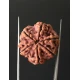6 Mukhi Nepali Certified Rudraksha Size- 25.00 mm 6 Mukhi Nepali Certified Rudraksha Size- 25.00 mm