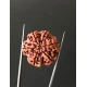 6 Mukhi Nepali Certified Rudraksha Size- 26.30 mm 6 Mukhi Nepali Certified Rudraksha Size- 26.30 mm