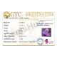 15.49 ct Natural Certified Amethyst (Jamunia) -Premium Quality 15.49 ct Natural Certified Amethyst (Jamunia) -Premium Quality