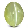 Cat's Eye -Lehsunia