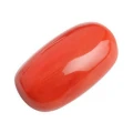 Red Coral -Moonga