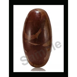 Narmadeshwar Shivling Height- 4 inch