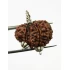 Garbh Gauri Rudraksha Silver Pendant (Nepal Origin)