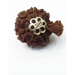 Garbh Gauri Rudraksha Silver Pendant (Nepal Origin)
