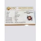 4.00 ratti (3.56 ct) Natural Hessonite Ceylon Gomed Certified