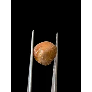Machmani Stone, मकरधवज रत्न, मछ मणि, Muktamani, Weight  5.00 ct 