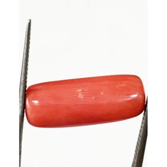 8.25 ratti (7.39 ct) Natural Certified Moonga/Coral 8.25 ratti (7.39 ct) Natural Certified Moonga/Coral