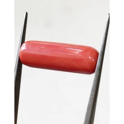 10.08 ratti (9.08 ct) Natural Certified Moonga/Coral