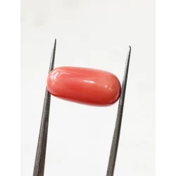 10.25 ratti (9.10 ct) Natural Certified Moonga/Coral