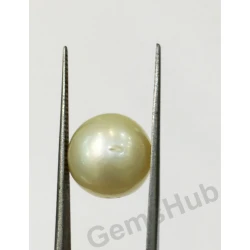 South Sea Pearl - 11.80 ct (13.11 ratti)