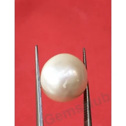 South Sea Pearl - 13.03 ct (14.50 ratti)