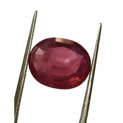 5.59 ct Natural Certified Bangkok/New Burma Ruby/Manik