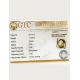 16.60 ratti (14.96 ct) Natural Certified Sunela (Citrine) 16.60 ratti (14.96 ct) Natural Certified Sunela (Citrine)
