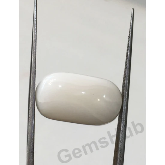 11.50 ratti/10.36 ct Natural Certified White Coral/सफ़ेद मूंगा 11.50 ratti/10.36 ct Natural Certified White Coral/सफ़ेद मूंगा