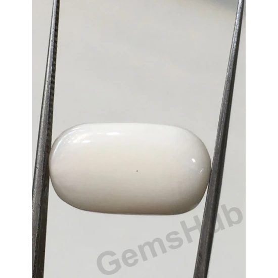 11.50 ratti/10.36 ct Natural Certified White Coral/सफ़ेद मूंगा 11.50 ratti/10.36 ct Natural Certified White Coral/सफ़ेद मूंगा