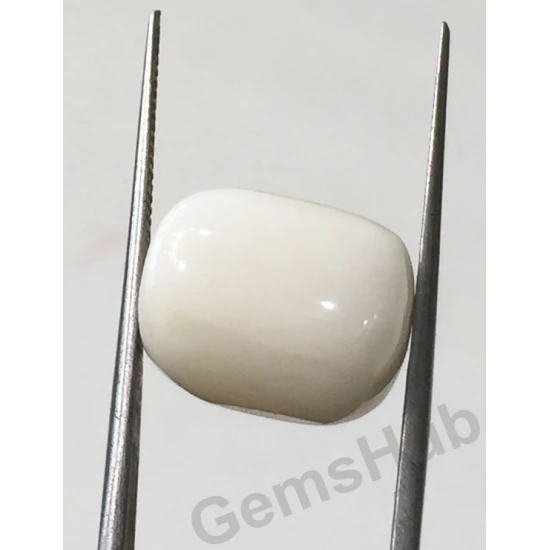 12.50 ratti/11.33 ct Natural Certified  White Coral/सफ़ेद मूंगा 