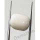 12.50 ratti/11.33 ct Natural Certified  White Coral/सफ़ेद मूंगा 