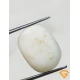 5.50 ratti/5.16 ct Natural Certified White Coral/सफ़ेद मूंगा 5.50 ratti/5.16 ct Natural Certified White Coral/सफ़ेद मूंगा