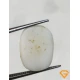 5.50 ratti/5.16 ct Natural Certified White Coral/सफ़ेद मूंगा 5.50 ratti/5.16 ct Natural Certified White Coral/सफ़ेद मूंगा