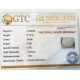5.50 ratti/5.16 ct Natural Certified White Coral/सफ़ेद मूंगा 5.50 ratti/5.16 ct Natural Certified White Coral/सफ़ेद मूंगा