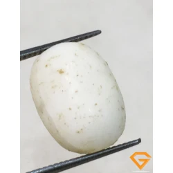 6.25 ratti/5.80 ct Natural Certified  White Coral/सफ़ेद मूंगा 