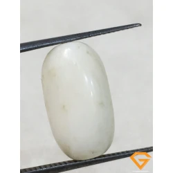 7.60 ratti/6.89 ct Natural Certified  White Coral/सफ़ेद मूंगा 